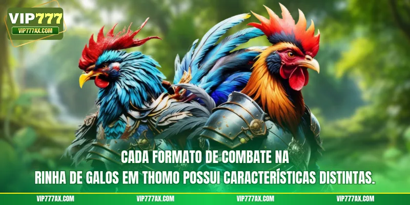 Cada formato de combate na rinha de galos em Thomo possui características distintas