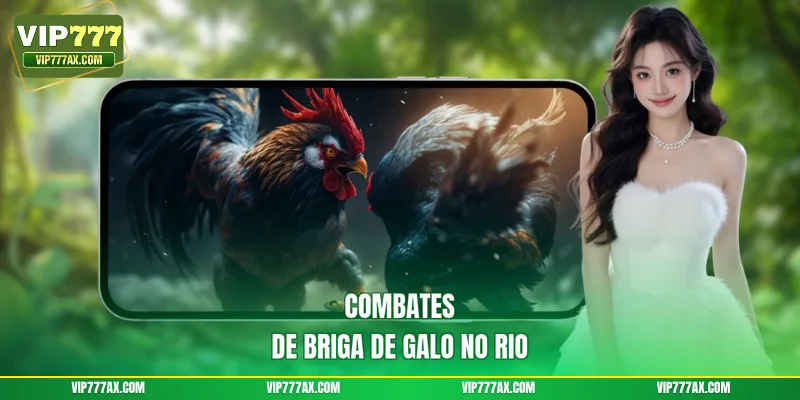 Combates de Briga de Galo no Rio