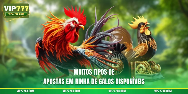 Muitos tipos de apostas em rinha de galos disponíveis