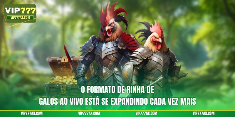 O formato de rinha de galos ao vivo está se expandindo cada vez mais