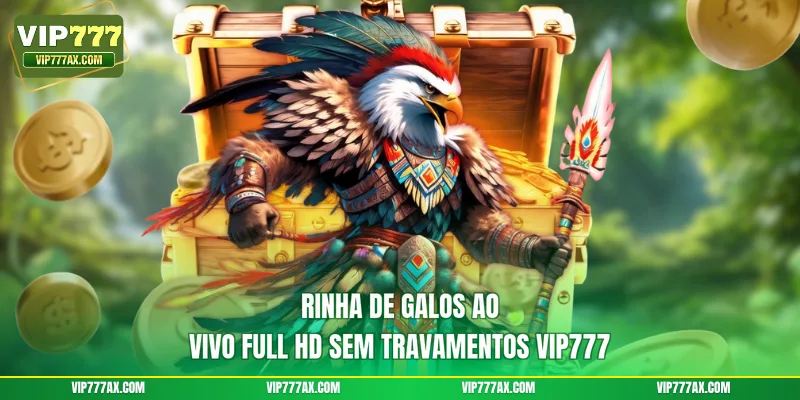 Rinha De Galos Ao Vivo
