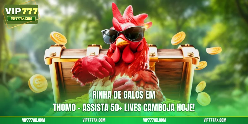 Rinha De Galos em Thomo