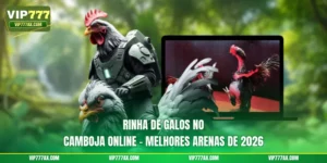 Rinha De Galos No Camboja
