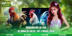 Transmissão Ao Vivo De Rinha De Galos