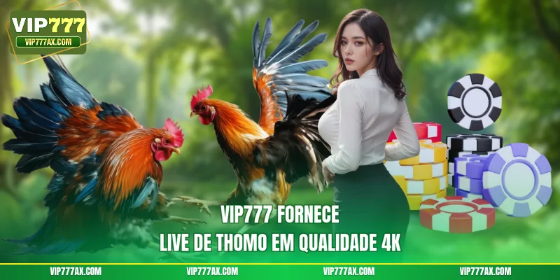 VIP777 fornece live de Thomo em qualidade 4K